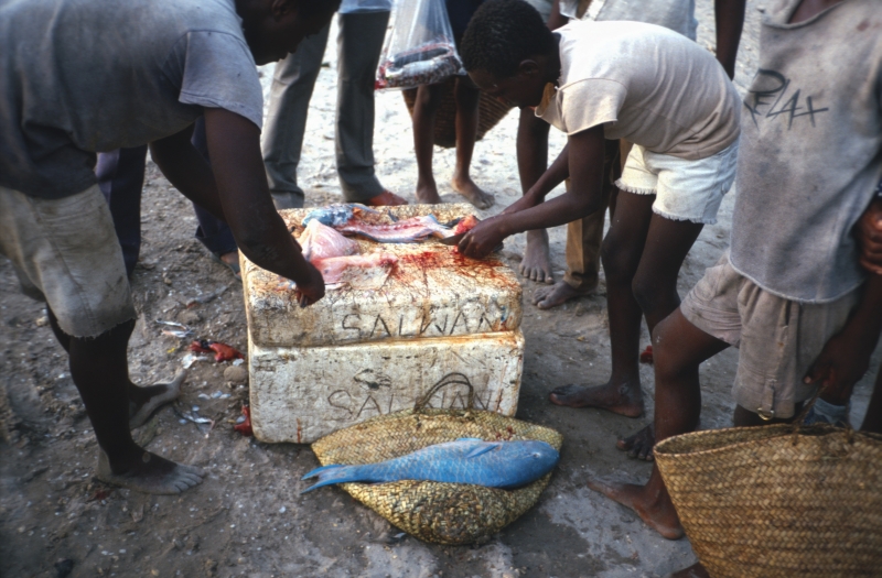 Fischer beim Ausnehmen ihres Fangs