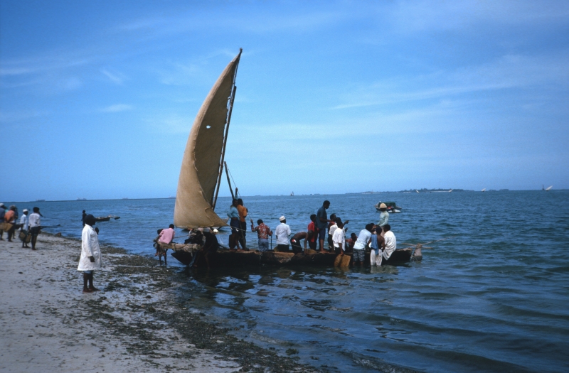 Dhau an der K&uuml;ste vor Daressalam